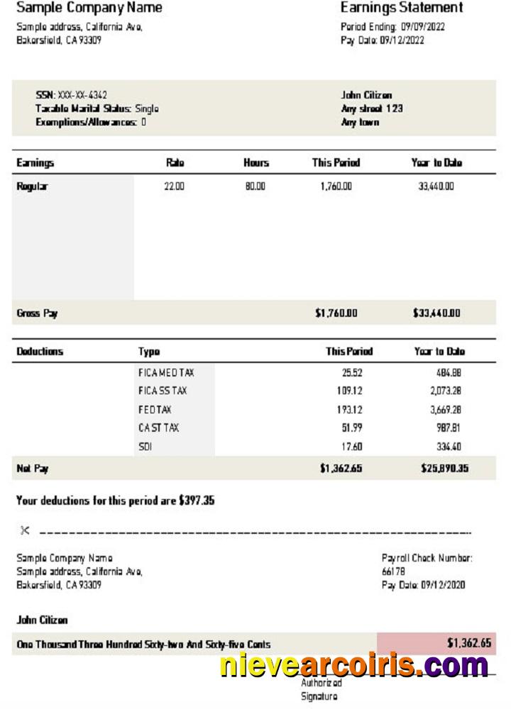 USA California earnings statement